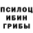 Псилоцибиновые грибы MAGIC MUSHROOMS NiCeR eSports