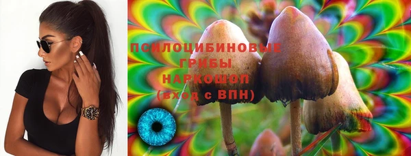 индика Покровск