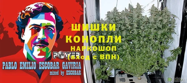 не бодяженный Алзамай