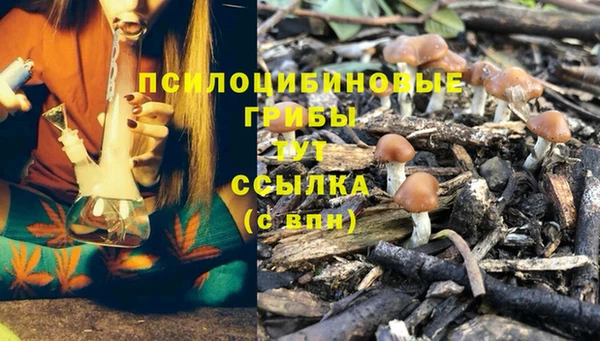 не бодяженный Алзамай